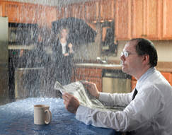 Leaky Roof Repair St Louis